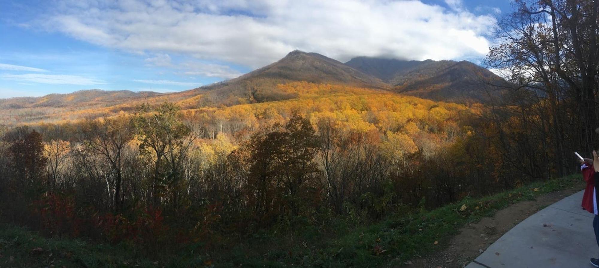Serene Mountain And Sunset Views 3Bd Cabin Franklin Bagian luar foto